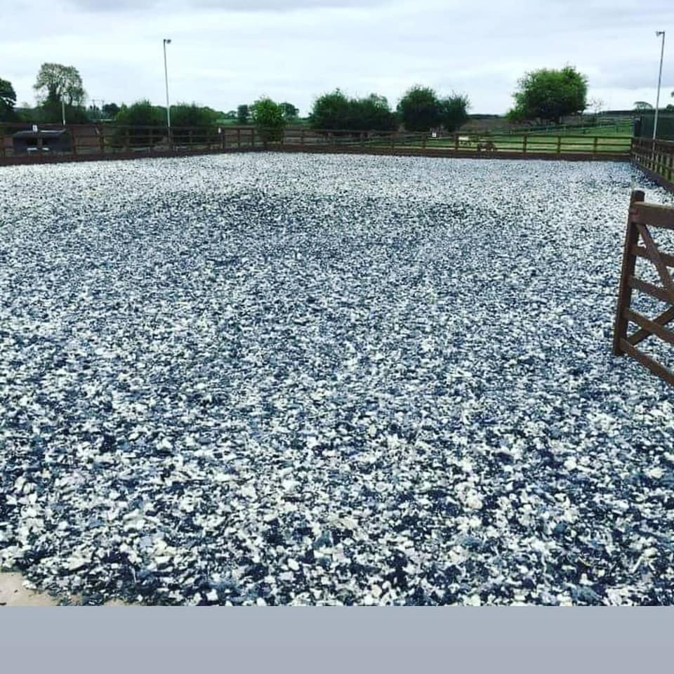 completed arena