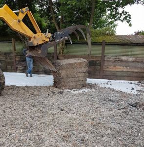 arena fibre bail
