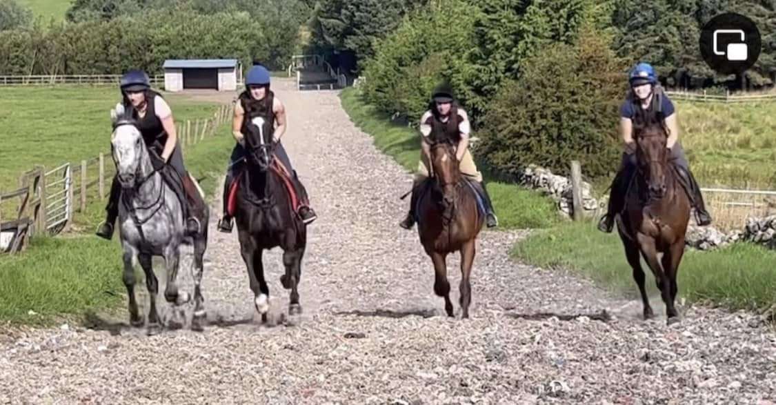 on the gallop