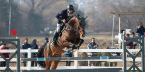 Horse Events & Races