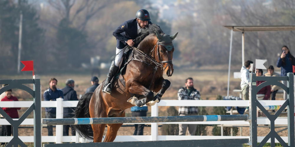 Horse Events & Races