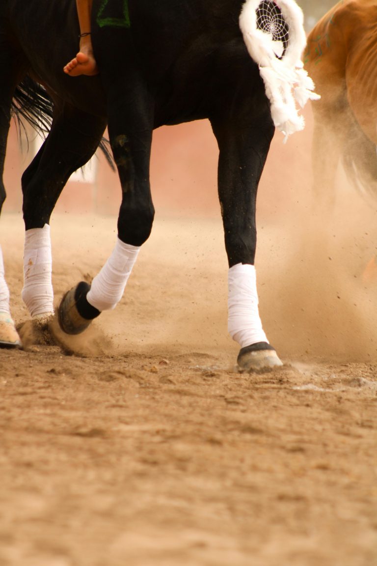 equestrian sand