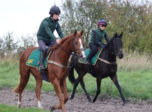 canter on the gallop