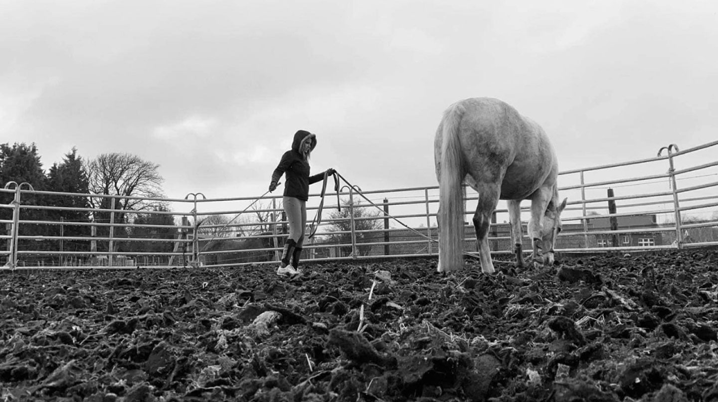 lunge pen surface