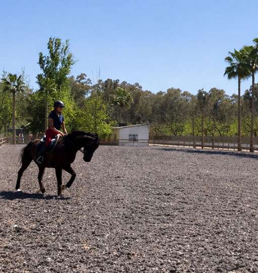 Outdoor arena