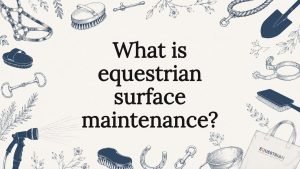 Decorative equestrian title card illustration