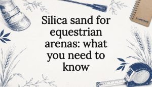 Decorative equestrian sand title card illustration